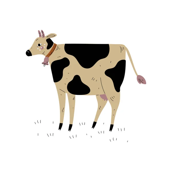 Vaca manchada, ganadería lechera cría de animales Vector Ilustración — Archivo Imágenes Vectoriales