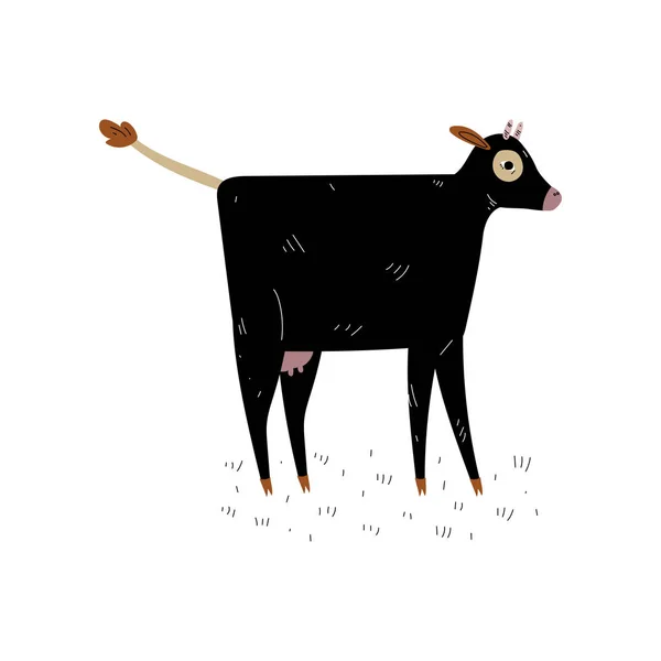 Black Cow, Side View, Dairy Cattle Animal Husbandry Breeding Vector Illustration — Stock Vector