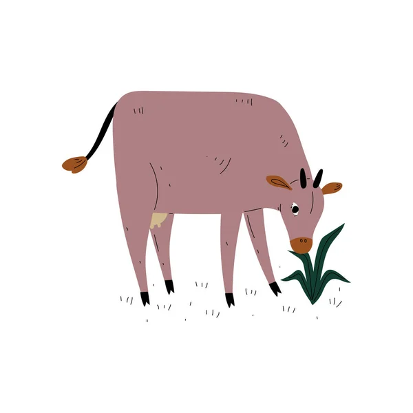 Brown Cow Grazing en el prado, ganadería lechera cría de animales Vector ilustración — Archivo Imágenes Vectoriales