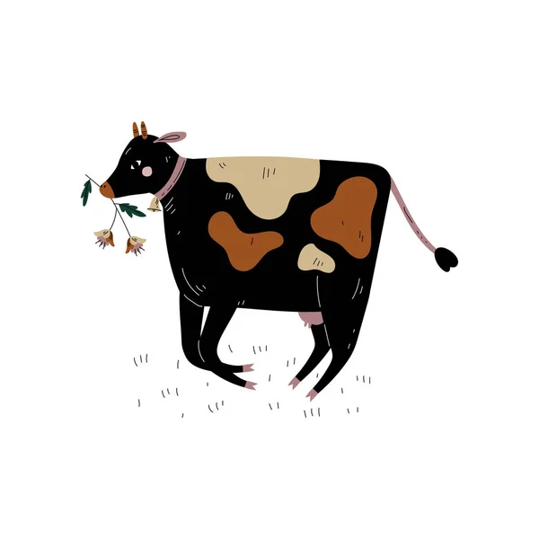 Hierba de mascar de vaca manchada negra, ganadería lechera cría de animales Vector ilustración — Archivo Imágenes Vectoriales