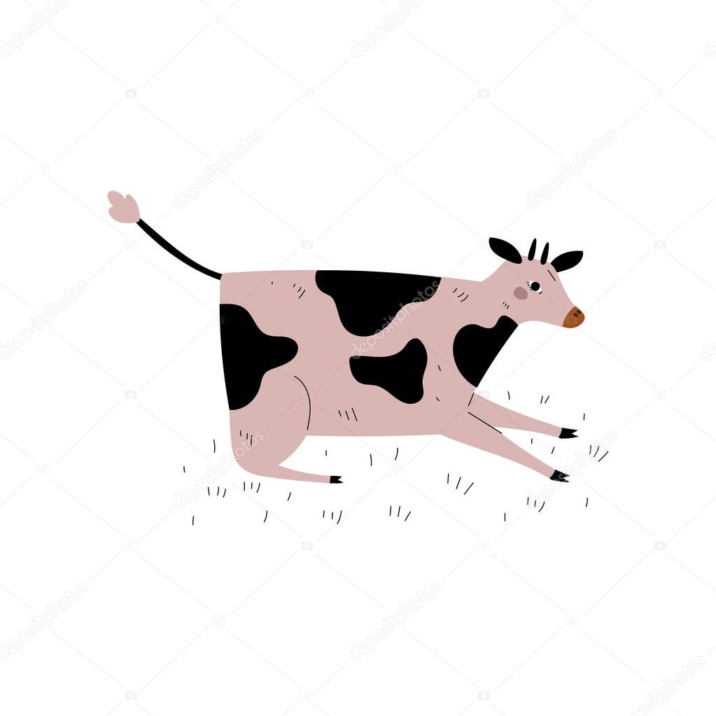 Spotted Cow Lying on Meadow, Dairy Cattle Animal Husbandry Breeding Vector Illustration