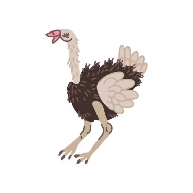 Devekuşu yabani egzotik Afrika kuş vektör çizim