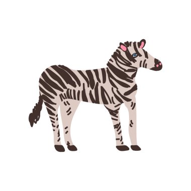 Zebra vahşi egzotik Afrika hayvan vektör çizim