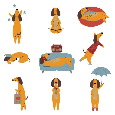 Saf kahverengi Dachshund köpek, dost komik oynak Pet hayvanlar farklı durumlarda karikatür karakter koleksiyonu vektör Illustration