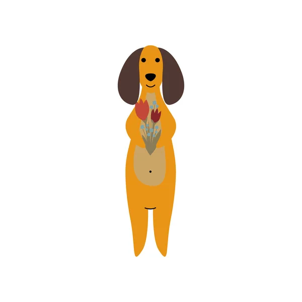 Purebred Brown Dachshund Dog in piedi con mazzo di fiori, divertente giocoso animale domestico personaggio del fumetto illustrazione vettoriale — Vettoriale Stock