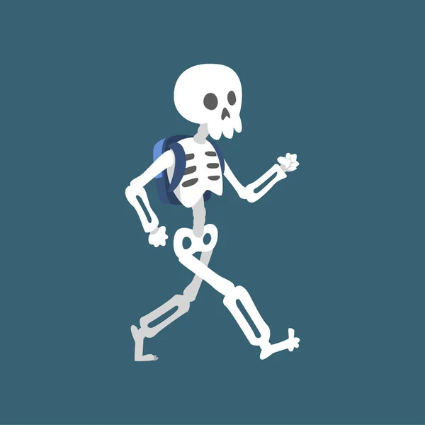 Menschliches Skelett zu Fuß, lustig toter Mann Zeichentrickfigur Vektor-Illustration — Stockvektor