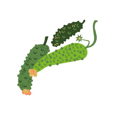 Salatalık taze sebze, organik besleyici vejetaryen Gıda sağlıklı diyet vektör Illustration