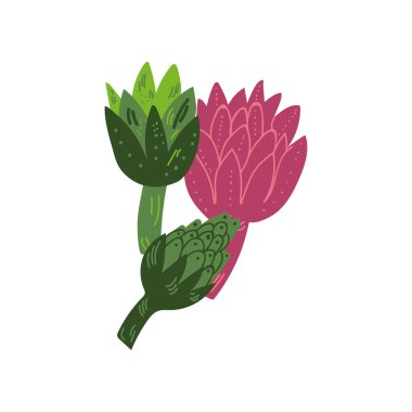 Farklı enginar çeşitleri taze sebze, organik besleyici vejetaryen Gıda sağlıklı diyet vektör Illustration