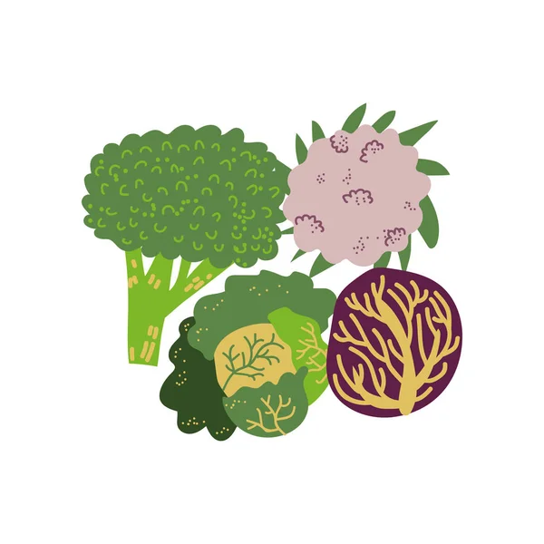 Diferentes variedades de col vegetales frescos, alimentos vegetarianos orgánicos nutritivos para una dieta saludable Vector ilustración — Vector de stock