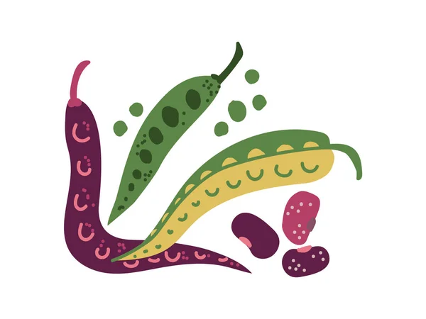 Variedades de judías verdes vegetales frescos, alimentos vegetarianos orgánicos nutritivos para una dieta saludable Vector Ilustración — Vector de stock