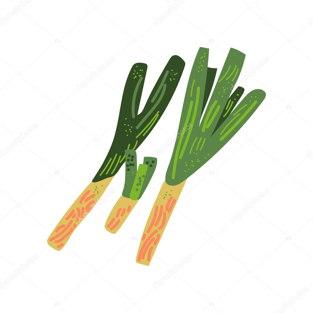 Fresh Green Onions Vegetable, Natural Healthy Food Vector Illustration