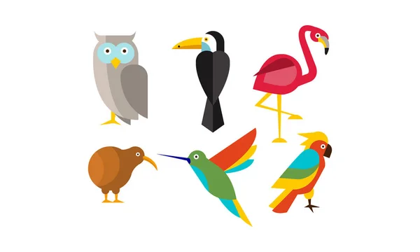 Conjunto de pássaros, coruja, flamingo, papagaio, beija-flor, tucano, vetor kiwi Ilustração — Vetor de Stock