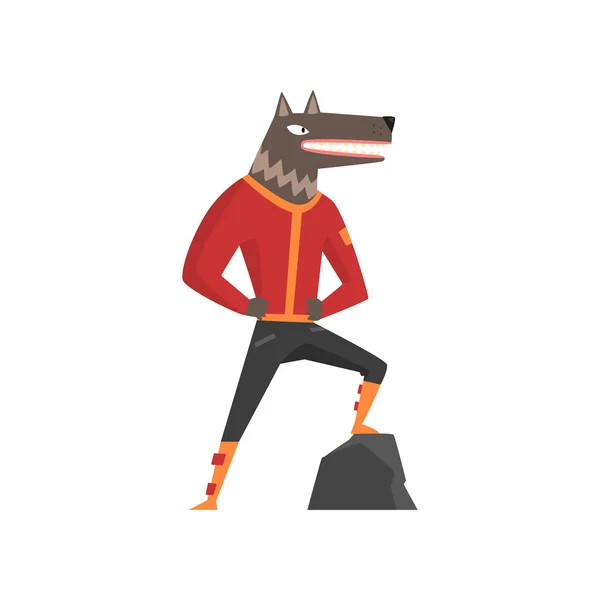Hombre con cabeza de lobo, personaje animal de moda con vector de ropa de moda Ilustración sobre un fondo blanco — Vector de stock
