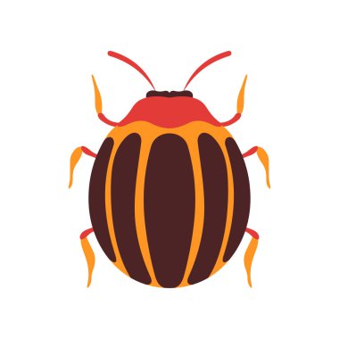 Colorado Beetle Böcek, Hata Top View Düz Vektör İllüstrasyon