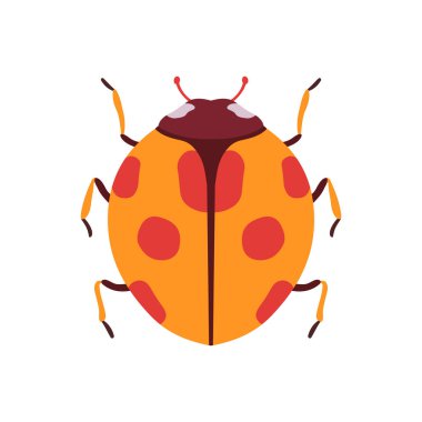 Uğur Böceği Böcek, Bug Top View Düz Vektör İllüstrasyon