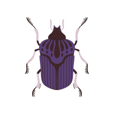 Beetle Böcek, Mavi ve Siyah Hata Top View Düz Vektör İllüstrasyon