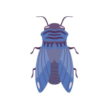 Mavi Sinek Böcek Top View Düz Vektör İllüstrasyon