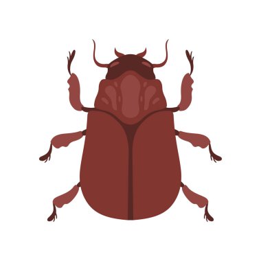 Beetle Böcek, Kahverengi Hata Top View Vektör İllüstrasyon