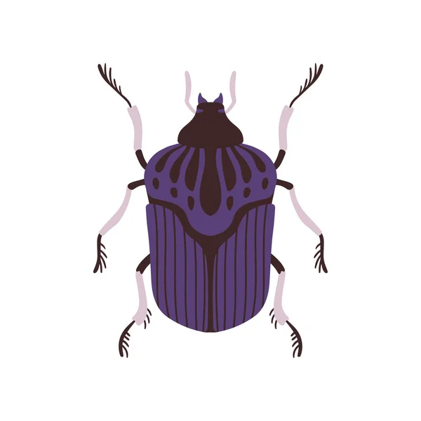 Escarabajo insecto, azul y negro Bug Top View plana Vector Ilustración — Vector de stock