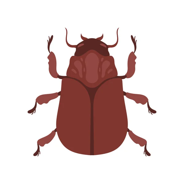 Insecto de escarabajo, Brown Bug Top View Vector Illustration — Vector de stock