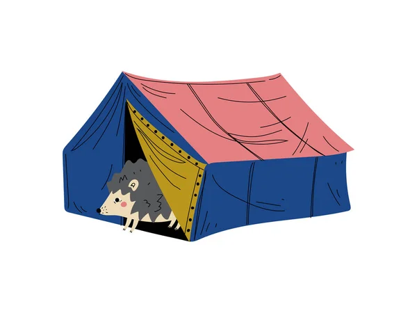 Hedgehog in Tent, Animal Character Having Hiking Adventure Travel or Camping Trip Vector Illustration — Stock Vector