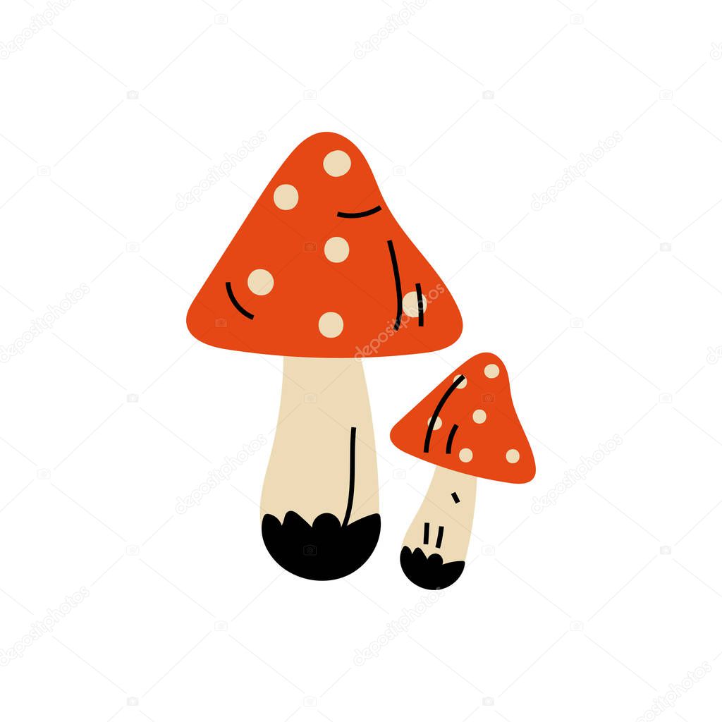 Amanita Muscaria Poisonous Mushrooms, Summer Forest Design Element Vector Illustration