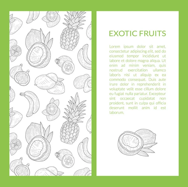 Exotic Fruits Banner Template with Place for Text, Tropical Plants Hand Drawn Vector Illustration — Stock Vector