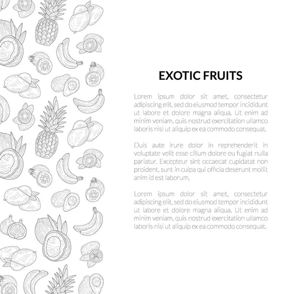 Exotische vruchten banner sjabloon met plaats voor tekst, tropische planten monochroom hand getekende vector illustratie — Stockvector