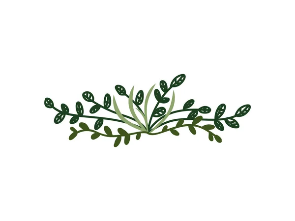 Ветки с зелеными листьями, природный элемент дизайна может быть использован для свадебного приглашения, сохранить дату, поздравительная открытка, плакат, цитата Векторная иллюстрация — стоковый вектор