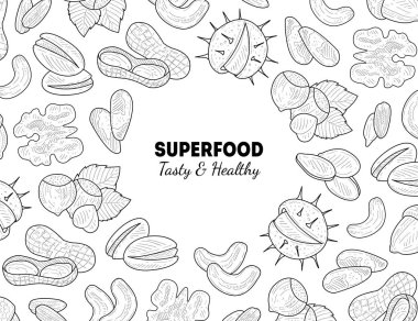 Superfood Banner Şablon, Fındık ve Tohumlar, Lezzetli ve Sağlıklı Organik Gıda El Çizilmiş Vektör İllüstrasyon