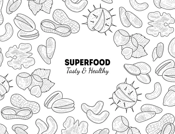 Modello di banner per alimenti biologici, frutta a guscio e semi, illustrazione vettoriale disegnata a mano per alimenti biologici gustosi e sani — Vettoriale Stock