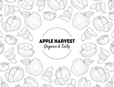 Elma Hasat Afiş Şablonu Organik ve Lezzetli Doğal Taze Meyveler El Çizilmiş Vektör İllüstrasyon