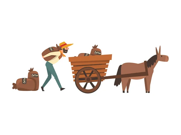 Granjero masculino en sombrero de paja Cargando bolsas de café en el carro del burro, ilustración vectorial de la etapa de producción de la industria del café — Archivo Imágenes Vectoriales
