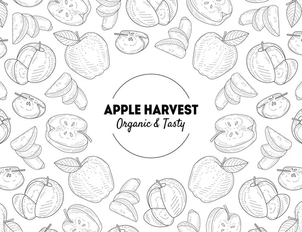 Apfelernte Banner Vorlage organische und schmackhafte natürliche frische Früchte handgezeichnet Vektor Illustration — Stockvektor