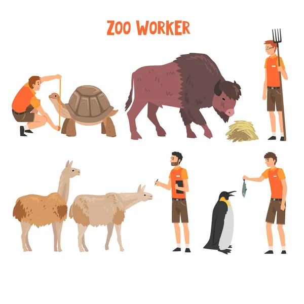 Dierentuinwerkers of dierenartsen Onderzoek, Voeding en verzorging van dieren, Professionele dierenverzorgers Personages Werken bij Zoo Vector Illustratie — Stockvector