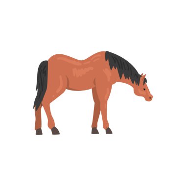 Kahverengi At Hayvan, Yan Görünüm Vektör İllüstrasyon