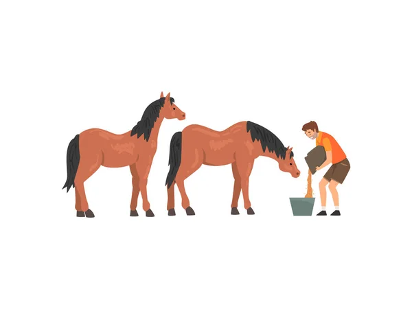 Travailleur du zoo nourrissant des chevaux, gardien de zoo professionnel soins des animaux Illustration vectorielle — Image vectorielle