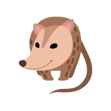 Sevimli Opossum, Sevimli Vahşi Hayvan Ön Görünüm Vektör İllüstrasyon