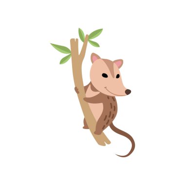 Sevimli Opossum Wild Animal Üzerinde Ağaç Şube Vektör İllüstrasyon