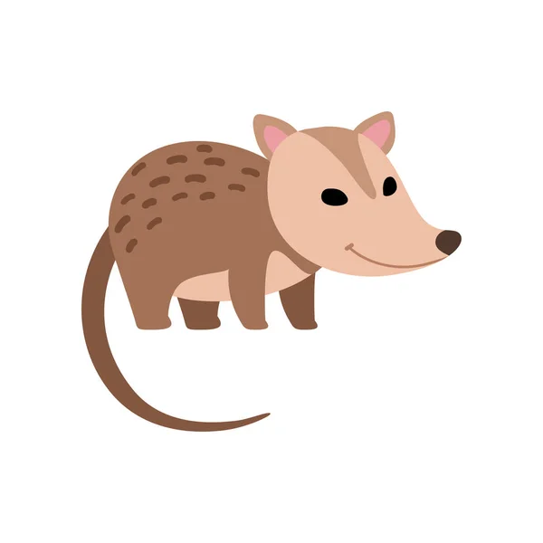 귀여운, opossum, 야생, 동물, 측면, 보기, 벡터, 일러스트 — 스톡 벡터
