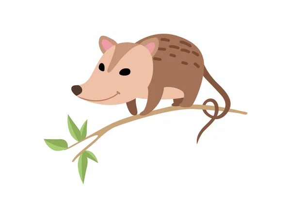 귀여운 opossum 앉아, 나무, 나뭇가지, 사랑스러운, 야생, 동물, 벡터 일러스트 — 스톡 벡터