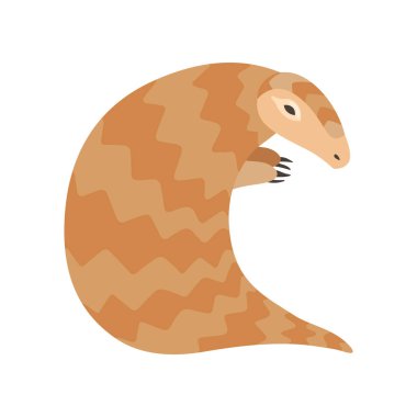 Sevimli Pangolin Nadir Hayvan Türleri Vektör İllüstrasyon