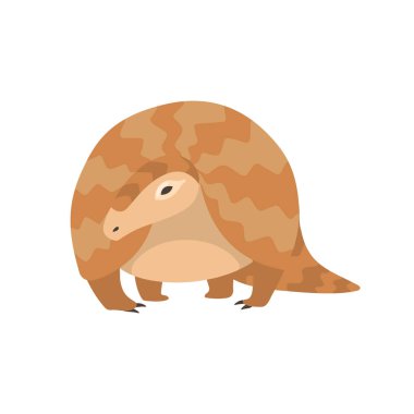 Pangolin Nadir Hayvan Türleri Karikatür Vektör İllüstrasyon