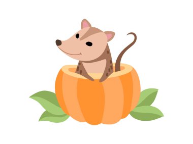 Sevimli Opossum Balkabağı Oturan, Sevimli Vahşi Hayvan Vektör İllüstrasyon