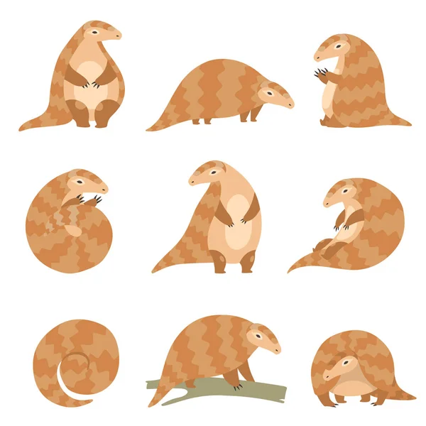 Lindo animal de pangolín en varios poses, raras especies de animales Dibujos animados Vector Ilustración — Vector de stock