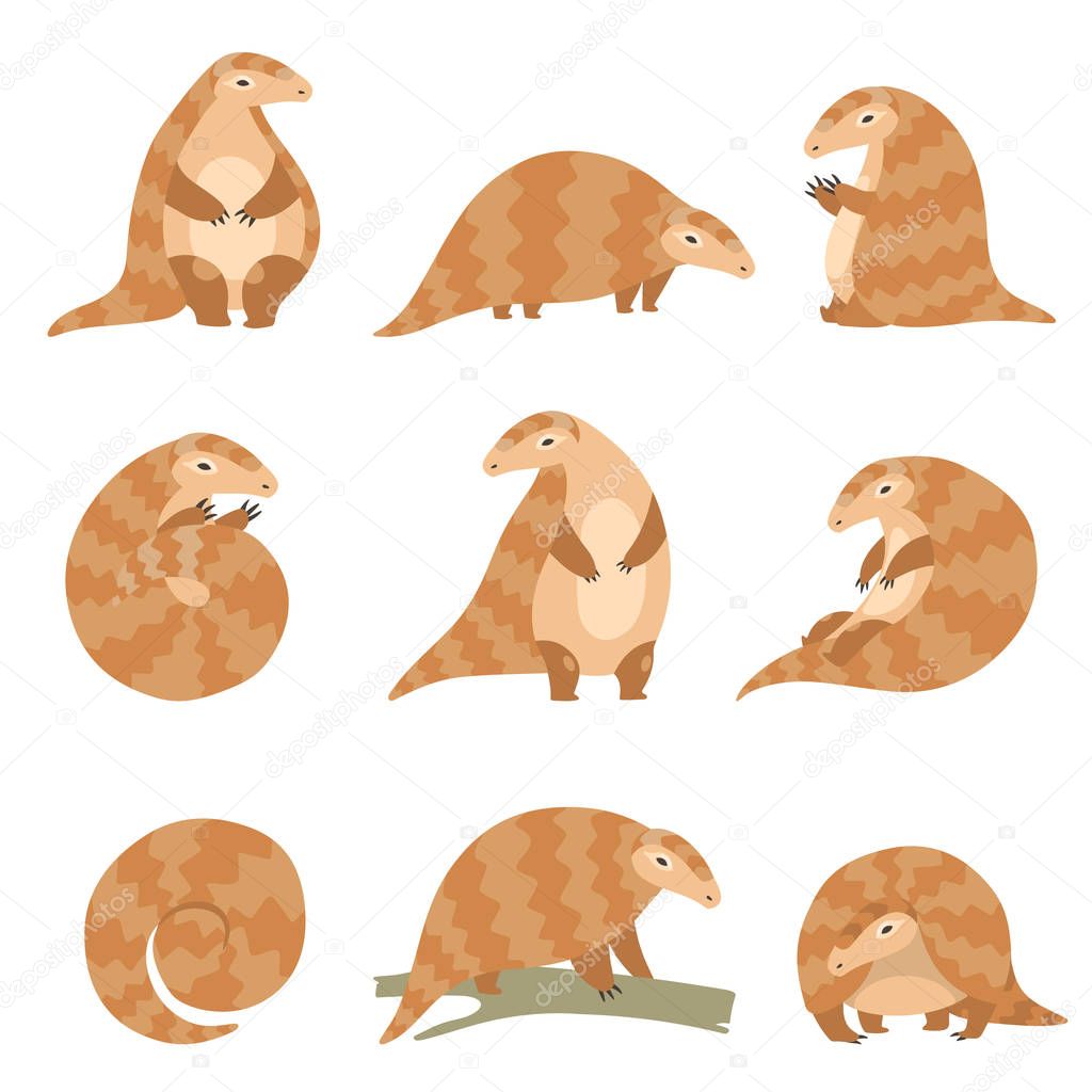 Cute Pangolin Animal in Various Poses Set, Rare Species of Animals Cartoon Vector Illustration