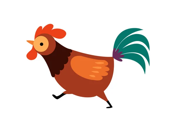 Rooster s jasným peřím, běžícím zemědělským kohoutem, vektorový chov drůbeže — Stockový vektor
