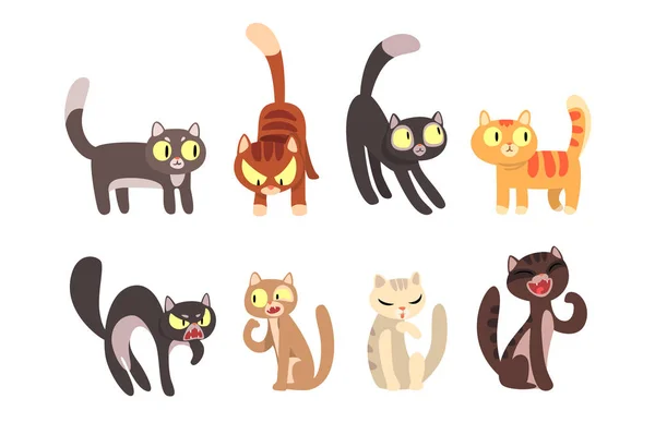 Plochá vektorové sada různých koček. Vtipné kreslené postavičky. Domácí mazlíčky. Roztomilý domácí zvířata. Prvky pro plakát, samolepka nebo mobilní hra — Stockový vektor