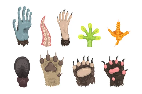 Platte vector set van poten van verschillende dieren hond, Beer, kat, kikker, aap, kip been, paard Hoof en tentakel van Octopus — Stockvector