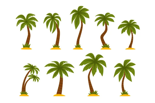 Ensemble vectoriel plat de palmiers tropicaux de dessin animé. Hauts arbres avec de longues feuilles vertes et troncs bruns. Éléments pour jeu mobile ou imprimer — Image vectorielle